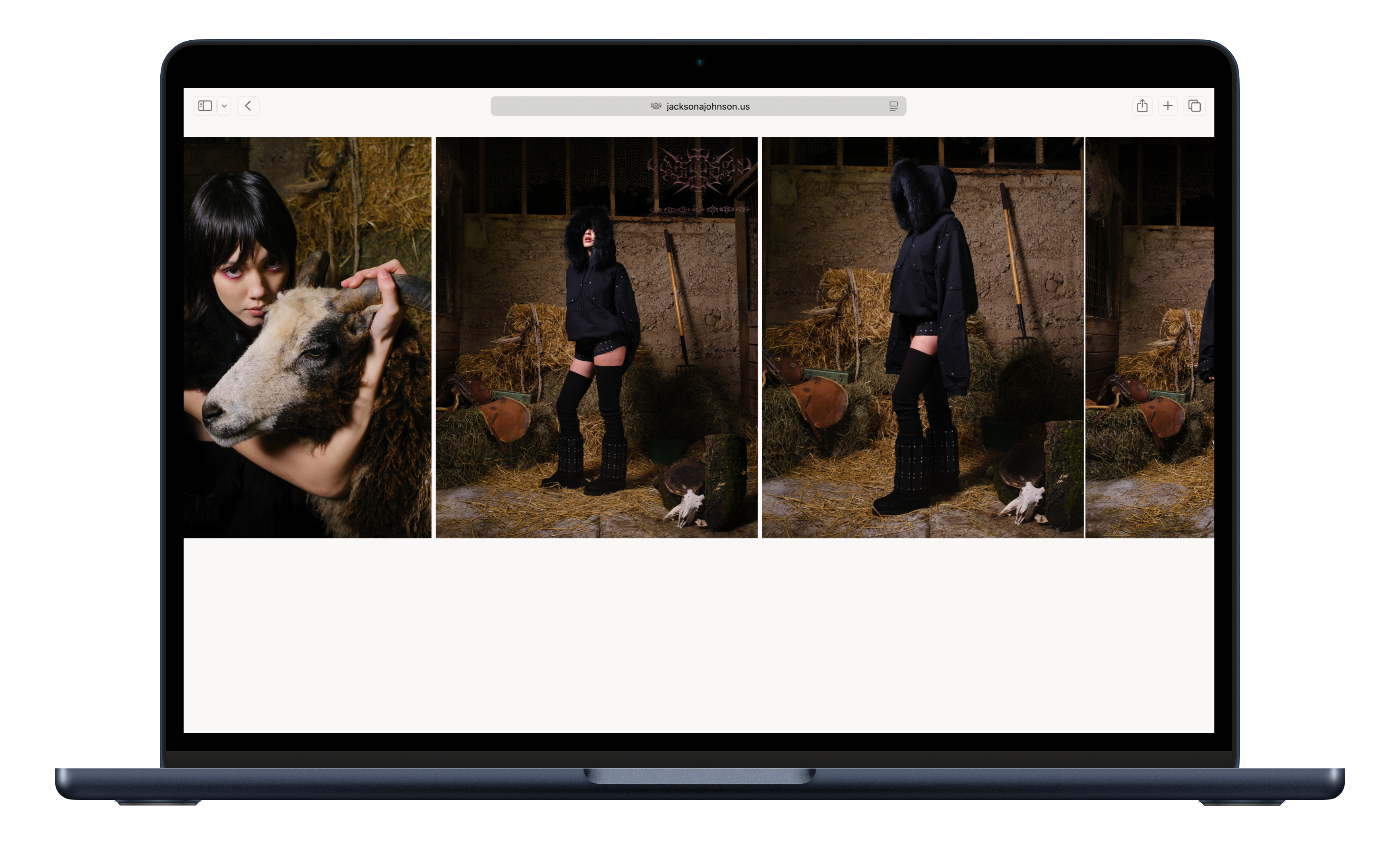 Jackson Johnson Detail 4